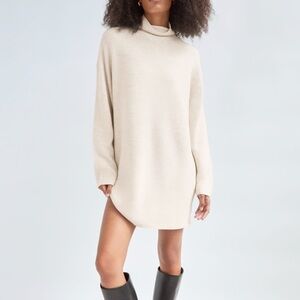 NWT Aritzia Maclean Dress, Size 3 (L/XL), 100% merino wool, heather birch color